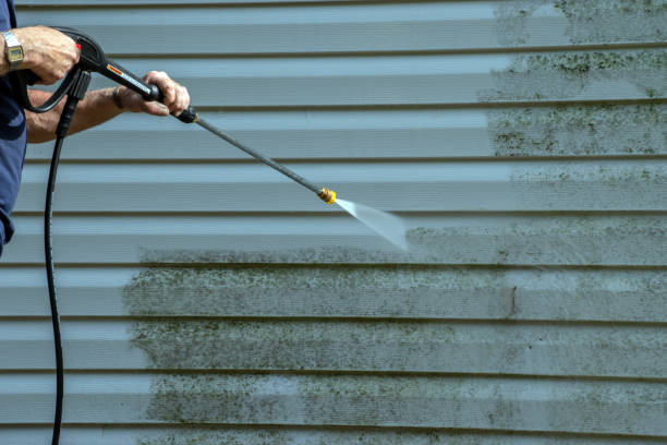 Best Patio and Deck Pressure Washing  in Farley, IA